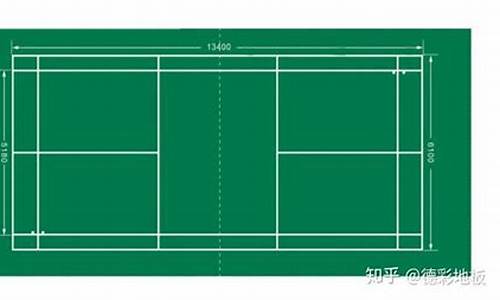 羽毛球单打线尺寸图_羽毛球单打线尺寸图解