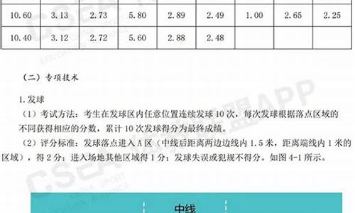 中考体育排球标准_中考体育排球标准几号球